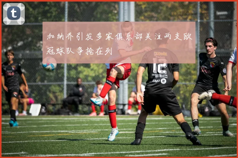 加纳乔引发多家俱乐部关注两支欧冠球队争抢在列